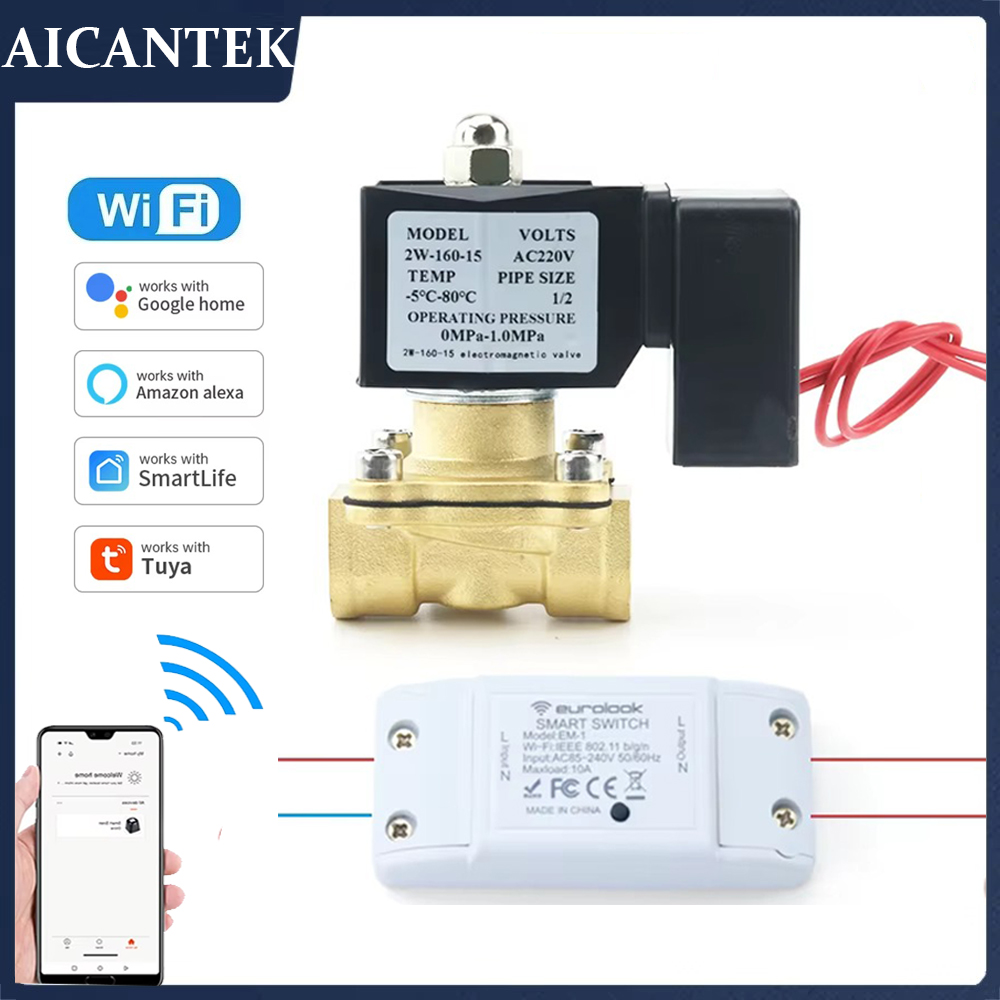Smart Garden Instructions - AC220V Tuya WiFi válvula solenoide inteligente