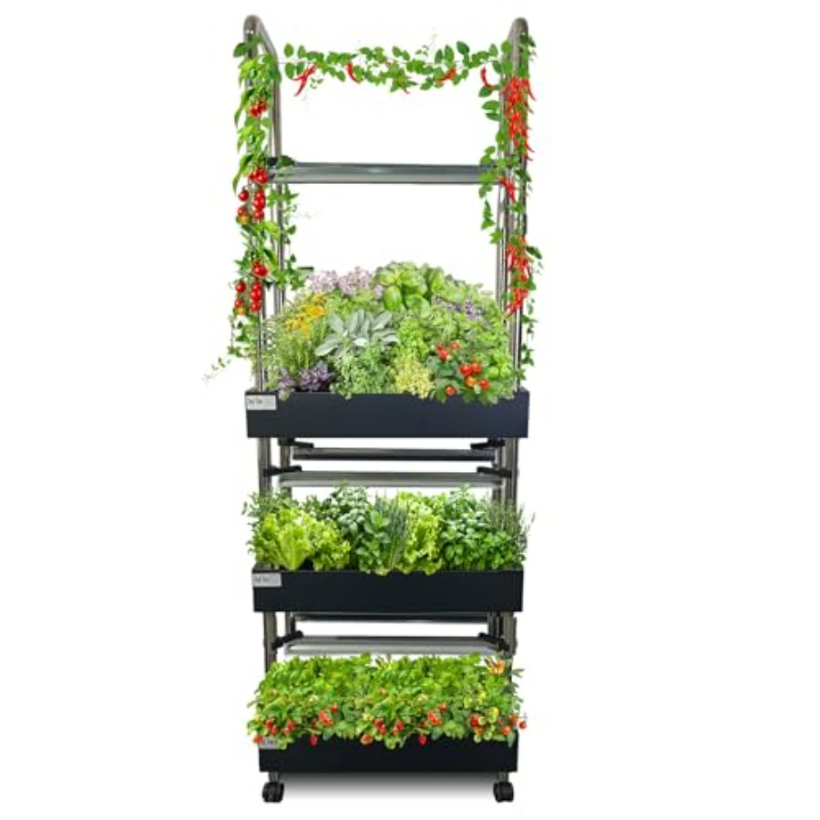 Smart Garden Water - Sistema de cultivo hidropónico interior: jardín