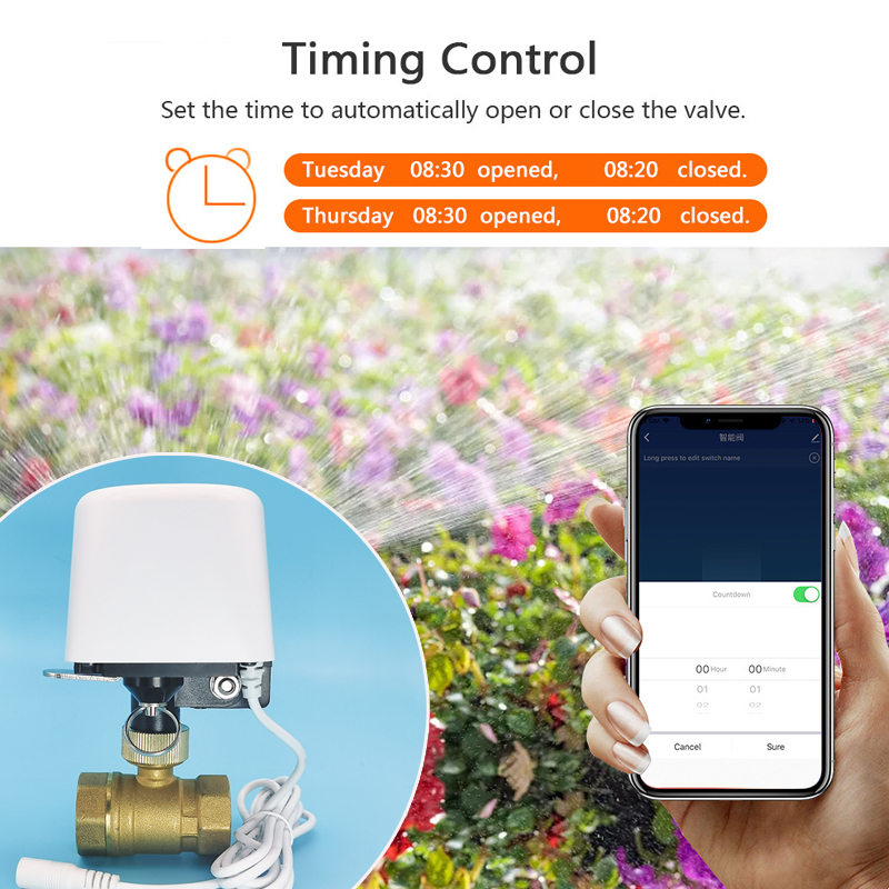 Válvula de Agua Inteligente Tu - Smart Garden Home Assistant reseña y precio