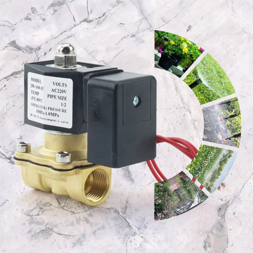 AC220V Tuya WiFi válvula solen - Smart Garden Instructions reseña y precio
