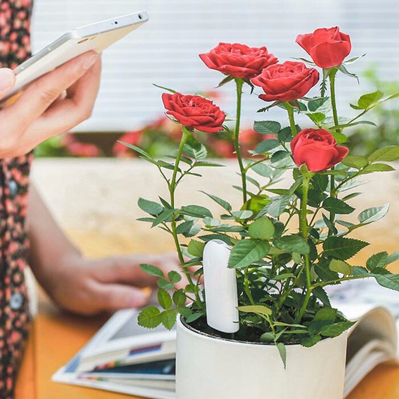 HHCC-Monitor de flores para el - Smart Garden Water reseña y precio
