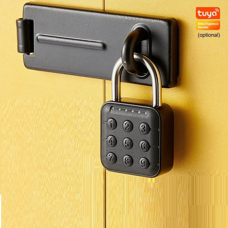 EGFirtor Tuya Smart Home canda - Smart Garden Lock reseña y precio