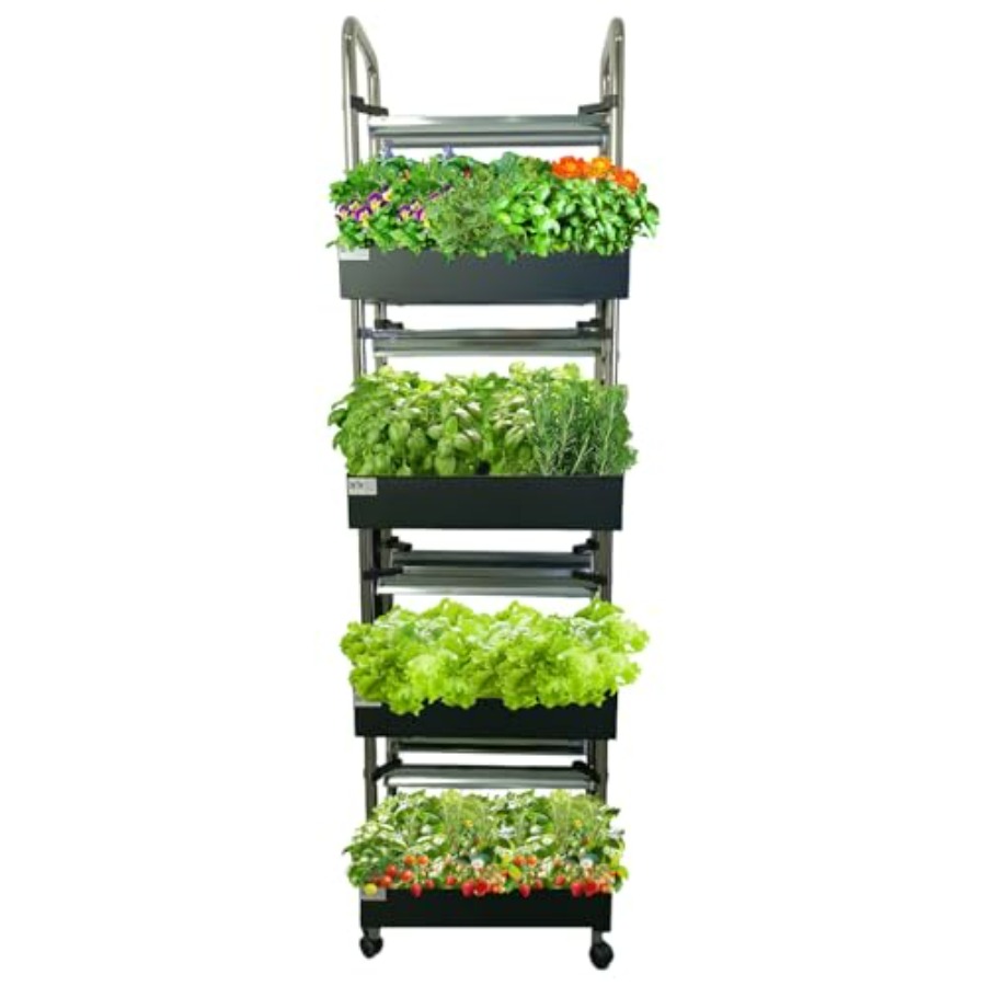 Sistema de cultivo hidropónico - Smart Garden Water reseña y precio