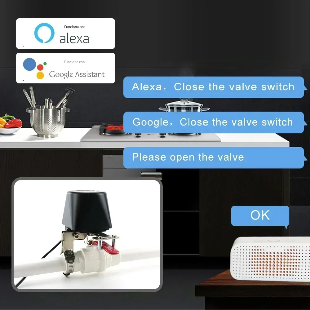 Válvula de Gas inteligente Tuy - Smart Garden Instructions reseña y precio