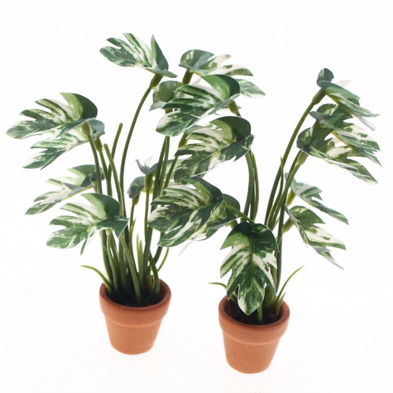 Nuevo. 1 unidad. Planta verde  - Smart Garden In Home reseña y precio