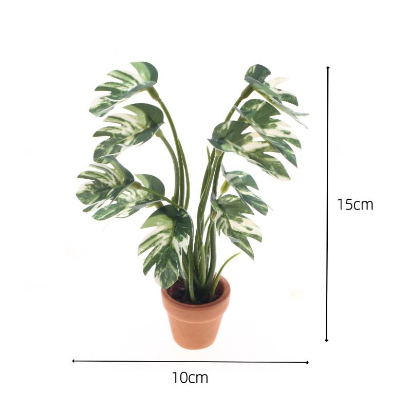 Nuevo. 1 unidad. Planta verde  - Smart Garden In Home reseña y precio