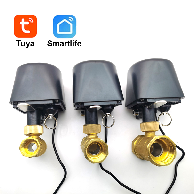 Tuya-válvula de agua WiFi o Zi - Smart Garden Water reseña y precio